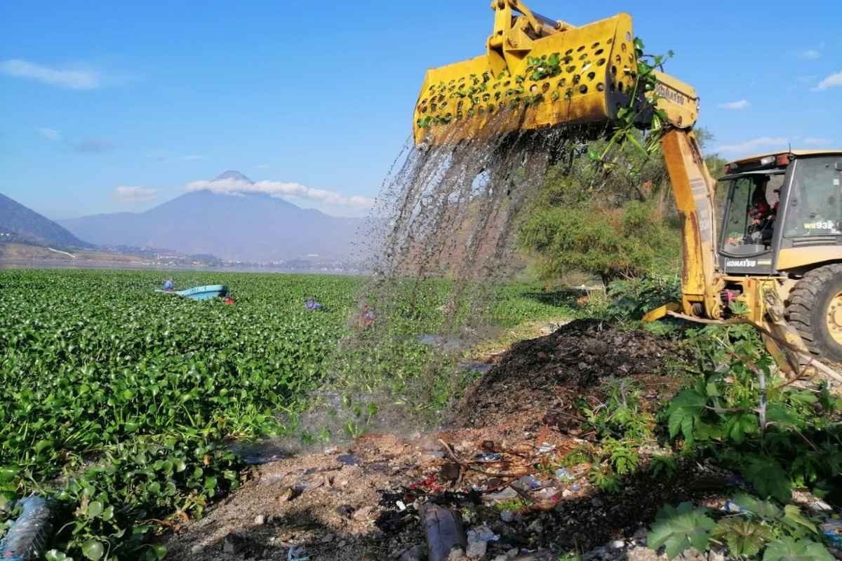 Lago de Amatitlán Más de 7,400 m³ de desechos removidos en enero de 2025