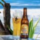 El Zapote Brewing Company lanza su nueva Blonde Ale, una cerveza artesanal refrescante para el verano