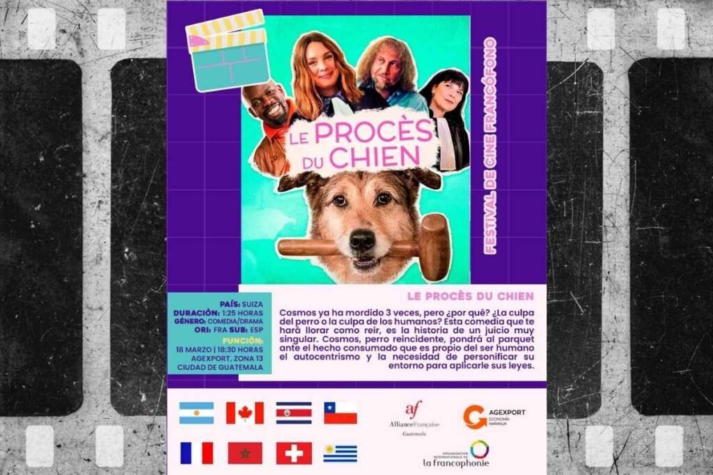 Luces, cámara… ¡Francofonía! El Festival de Cine Francófono 2025 llega a Guatemala con una cartelera de lujo