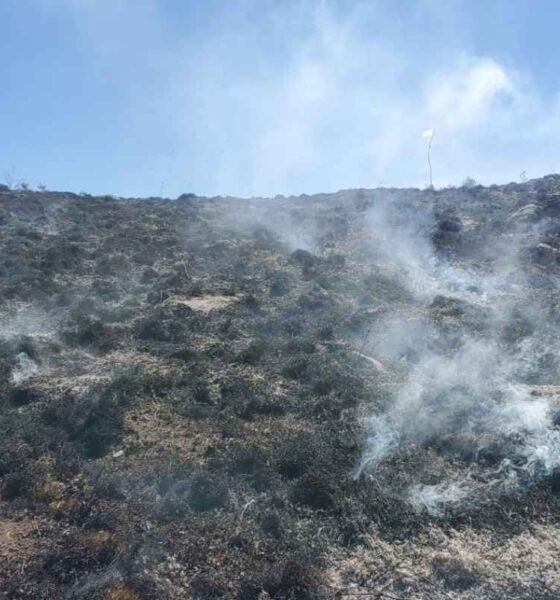 Incendios forestales golpean con fuerza tres departamentos de Guatemala