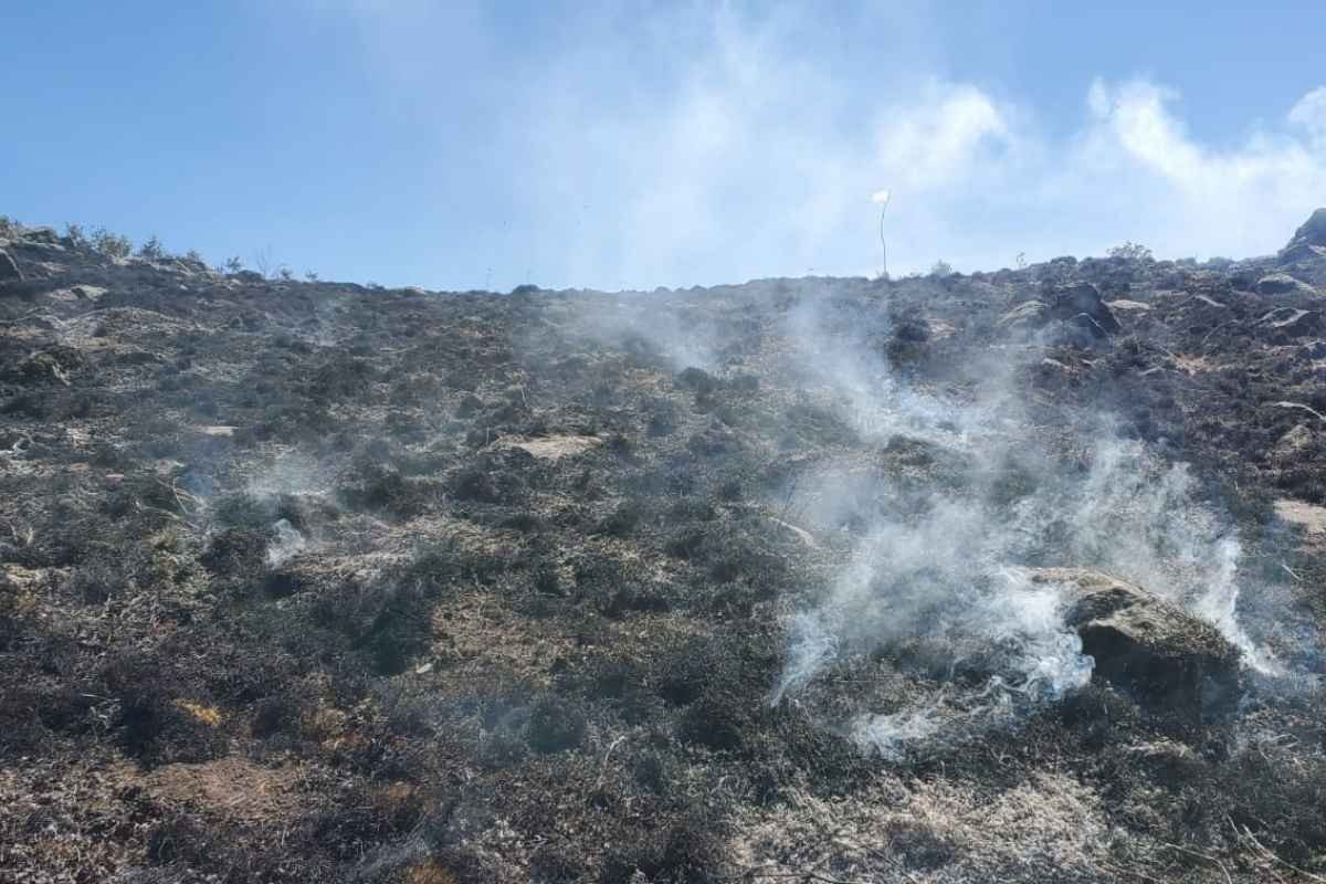 Incendios forestales golpean con fuerza tres departamentos de Guatemala