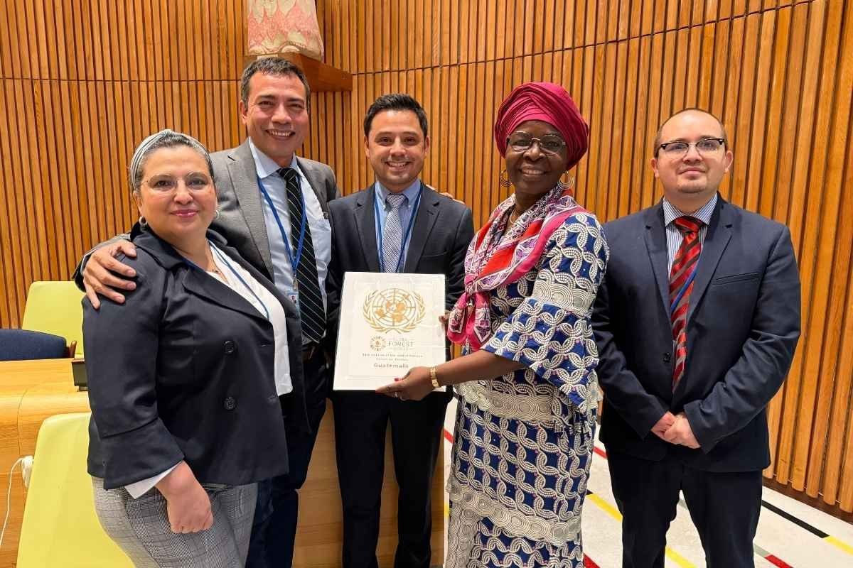 AgroProgreso destaca en foro de la ONU por manejo forestal sostenible