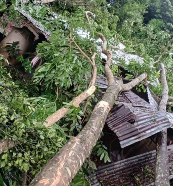 Alta Verapaz sufre inundaciones y deslizamientos tras intensas lluvias
