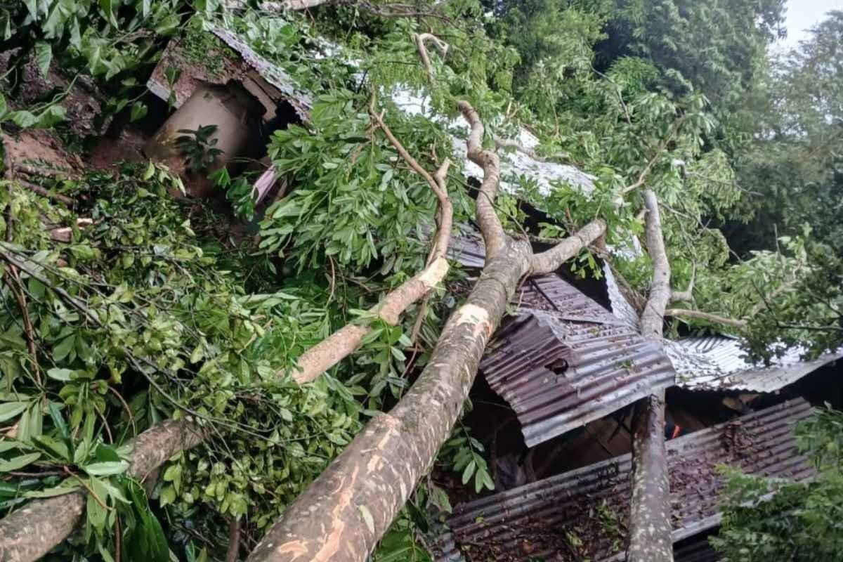 Alta Verapaz sufre inundaciones y deslizamientos tras intensas lluvias