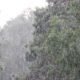 Huracán Erick Guatemala bajo lluvias pese al alejamiento del fenómeno