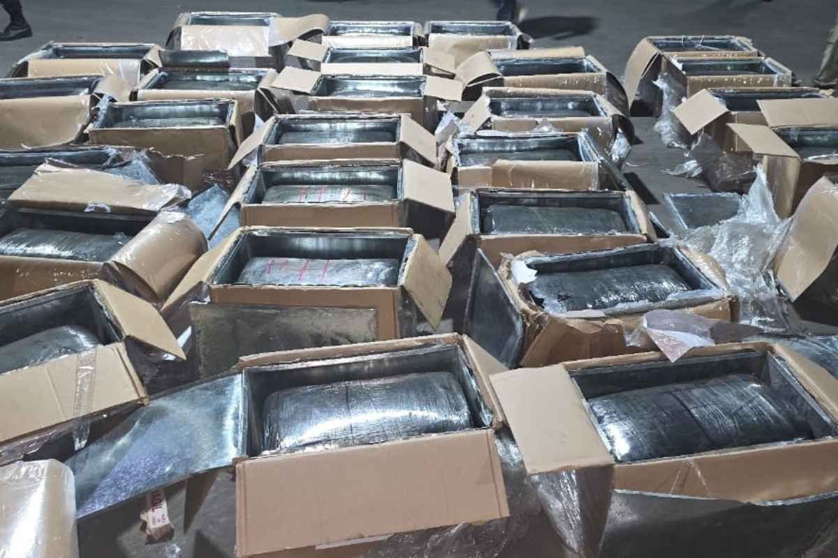 Interceptan cargamento de marihuana en puerto guatemalteco con destino a República Dominicana