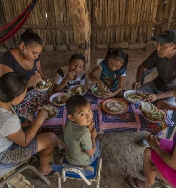 Desnutrición infantil cobra 19 vidas en Guatemala y solo hay 77 brigadas para más de 14 mil casos