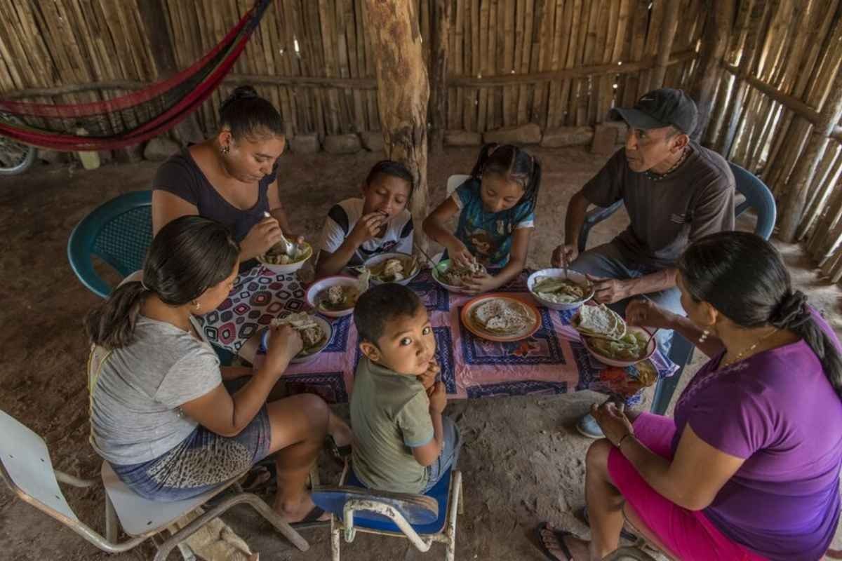 Desnutrición infantil cobra 19 vidas en Guatemala y solo hay 77 brigadas para más de 14 mil casos