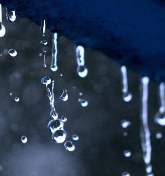 IGSS Lluvia al volante precaución que puede salvar vidas