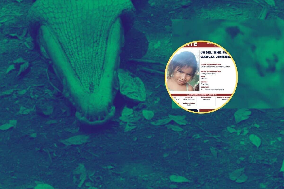 Investigan si cocodrilo devoró a niña desaparecida en Petén