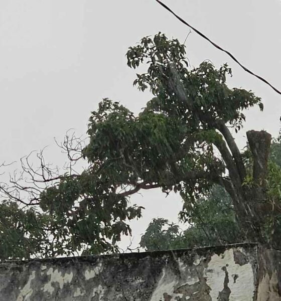 Lluvias con tormenta y neblina marcarán el inicio de semana en gran parte del país