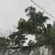 Lluvias con tormenta y neblina marcarán el inicio de semana en gran parte del país