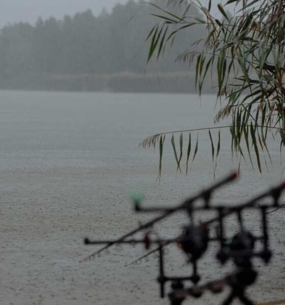 Lluvias y tormentas eléctricas regresan tras la canícula, advierte Insivumeh