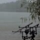 Lluvias y tormentas eléctricas regresan tras la canícula, advierte Insivumeh