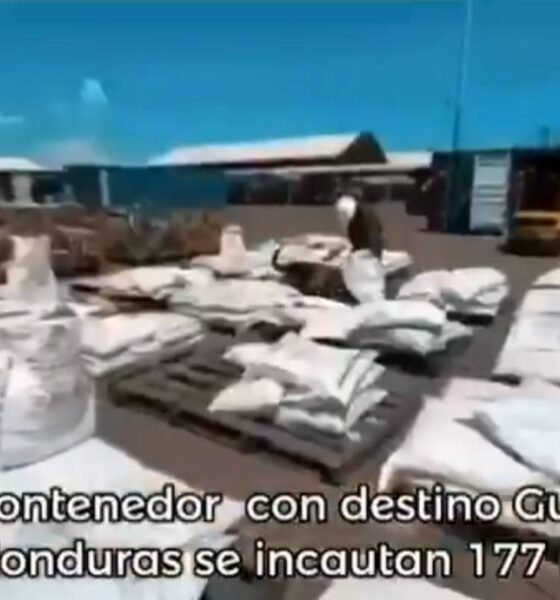 Colombia incauta cinco toneladas de cocaína que serían enviadas a Guatemala, Honduras y Europa