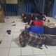 Liberan a 11 guardias del SP tras motines en cárceles de zona 18 y Fraijanes II