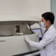 Laboratorios del IGSS modernizan la atención médica con tecnología automatizada