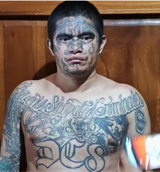 Mario David Sisimit Cutzal, alias “Cartoon” o “El Enano”, fue detenido en un operativo en Coatepeque, Quetzaltenango. Según la PNC, el integrante del Barrio 18 había recuperado su libertad en agosto...