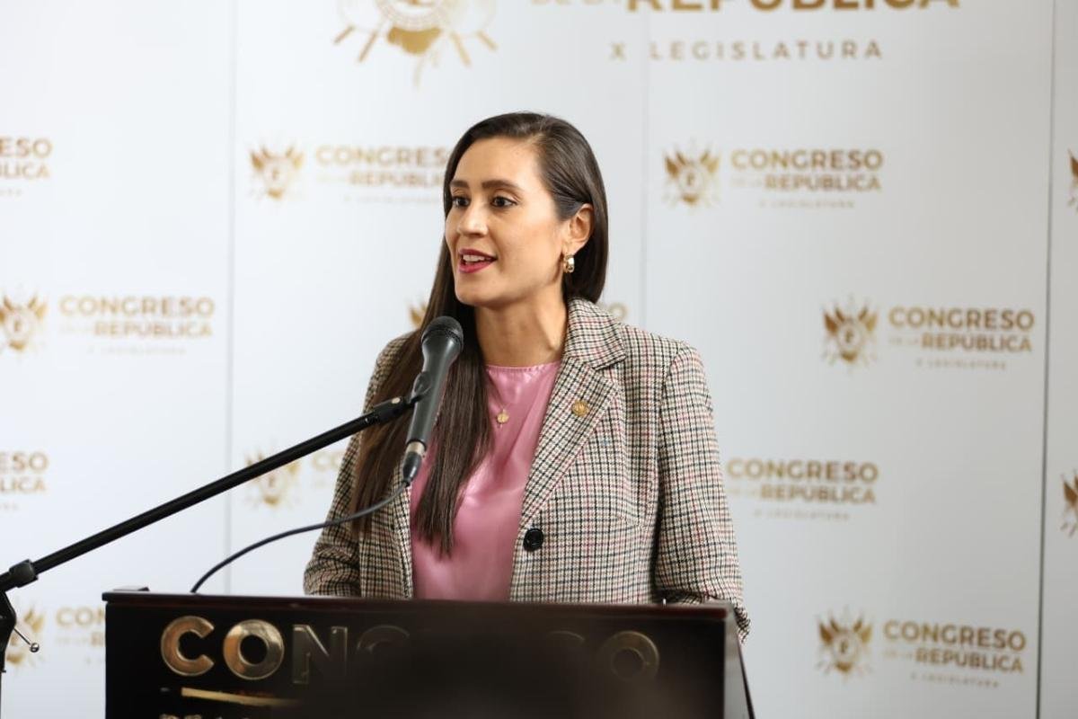 Diputada anuncia acciones legales contra reformas ambientales