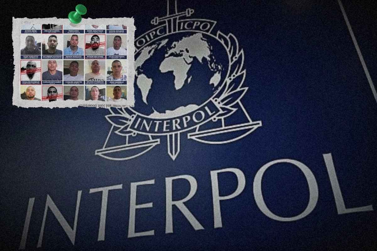 Interpol activa alertas rojas para capturar a 16 pandilleros fugados de la cárcel Fraijanes II