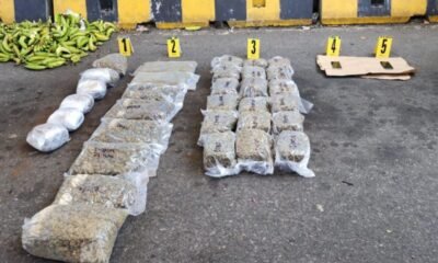 Decomisan 39 kilos de marihuana ocultos entre cajas de plátanos en Escuintla