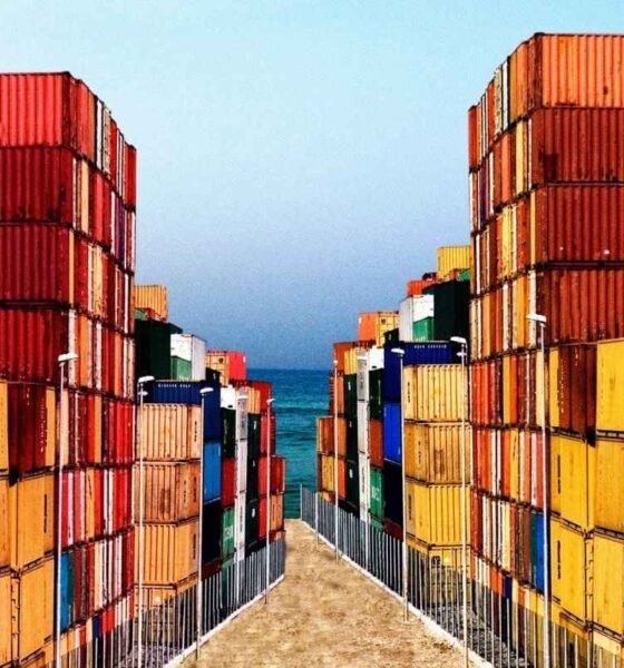 EE. UU. abre una ventana comercial clave para Guatemala con arancel cero a 66 productos agrícolas