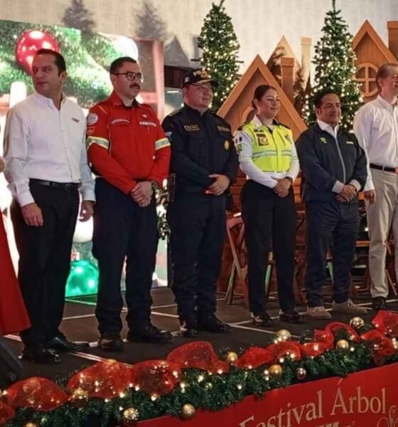 Festival Árbol Gallo 2025 iluminará Guatemala con una celebración renovada