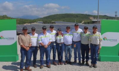 Progreso pone en operación dos parques solares para fortalecer su eficiencia energética