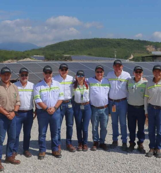 Progreso pone en operación dos parques solares para fortalecer su eficiencia energética